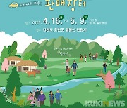 홍천 산나물 판매행사 16일 개막..'드라이브 스루' 운영