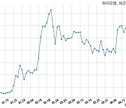 와이오엠 단기차입금 50억원 증가