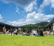 국내 최대 반려견 테마파크 '강아지숲' 정식 개장