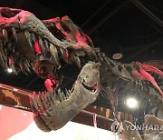 공포의 육식공룡 티라노사우루스가 25억 마리?