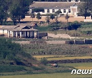 美 농무부 "북한 올해 쌀 생산량 136만t"..'고난의 행군' 수준