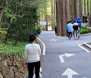 '미세먼지도 못 막아'..대전 산·유원지에 봄 즐기는 나들이객