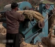 미 농무부 "북한 올해 쌀 생산량 136만 톤 예상..3년째 저조"