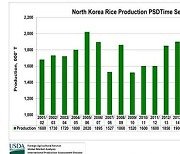 미국 "올해 북한 쌀 생산량 136만 톤에 불과"