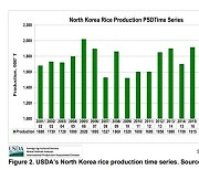 미 농무부 "북한 올해 쌀 생산량, 지난해 이어 136만t 예상"