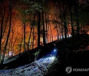 대전 유성구 산불 발생, 산림당국 진화 중