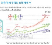 [부동산정책 현주소] 해외서 실패 '임대차3법' 혼란만.. 전문가 "시장친화 정책 전환을"