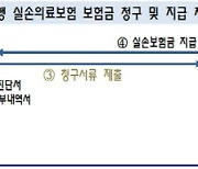 '실손보험 청구 간소화' 이번엔 국회 넘을까