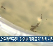 대전보건환경연구원, '감염병 매개모기' 감시 시작