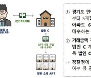 외지인, '공시가 1억' 집찾아 지방行..불법 의심거래 244건 '덜미'