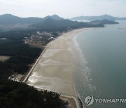 신안군, 대광해수욕장 '블루플래그 국제해변 인증' 쾌거