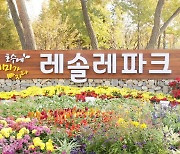 의왕시, 코로나19 여파 경기정원문화박람회 취소
