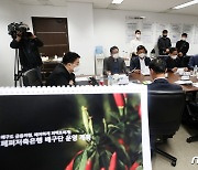 '여자배구 7구단 시대' 페퍼 저축은행 창단 승인..연고지는 성남 혹은 광주