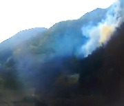 홍천 야산서 산불..산림 0.5㏊ 태우고 1시간만에 진화