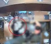 뒤통수 이어 뺨까지..벨기에 대사 부인 폭행 CCTV 공개 (영상)