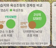 탄소 흡수능력 뛰어난 염습지..'조림 경제효과' 일반 땅의 5배 [기후변화와 블루카본 (2)]