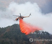 홍천군 산불 진화 완료