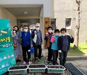 광주 서구, '희망의 반려 식물 가꾸기, 희망틔움' 운영