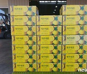 "감귤만 있는줄 알았지?"..제주산 레몬 국내 첫 홍콩 수출