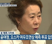 윤여정, 오스카 여우조연상 예측 투표 압도적 1위