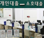 2월 대구·경북 지역 금융기관 대출 증가폭 '축소'