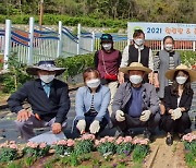 '꽃으로 치유'..안양 범죄피해자지원센터 화단 조성