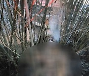 남원 대나무숲서 화재..80대 남성 숨진 채 발견