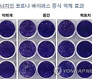 전북대, 코로나 치료하는 기기 특허 출원