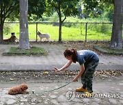 VIETNAM PHOTO SET DOG TRAINING CENTER