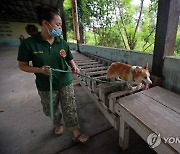 VIETNAM PHOTO SET DOG TRAINING CENTER