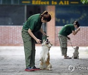 epaselect VIETNAM PHOTO SET DOG TRAINING CENTER