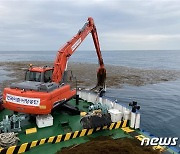 바다의 불청객 '괭생이모자반' 추가 유입 대비..해수부, 대응태세 강화