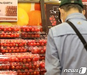 롯데마트, 과일 용기 최초 '무라벨 방울토마토' 판매