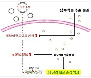 국립낙동강생물자원관, 담수식물 활용한 건강기능식품 상용화 추진