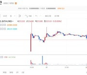 30분간 1000배 뛰었지만..'하루 천하'로 끝난 묻지마 코인