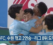 대구FC, 수원 꺾고 2연승..리그 8위 도약