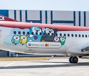 신한카드, 마스터카드와 자사 캐릭터 항공기 래핑 광고