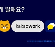 카카오워크, 28일 첫 웹세미나 개최.."메신저 활용 성공업무 방식 소개"