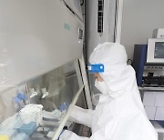 [포토]교직원과 학생들 대상 '신속 PCR 검사'