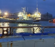 울산 동구, 어업협정 이행지연 피해 어업인 경비 지원
