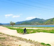 노란 유채꽃, 푸른 강물 따라 '광양 섬진강 자전거 라이딩'!