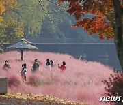 임실군, 사선대 사계절 화원 조성