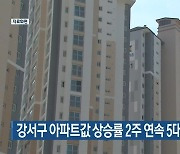 부산 강서구 아파트값 상승률 2주 연속 5대 광역시 최고