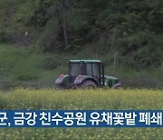 옥천군, 금강 친수공원 유채꽃밭 폐쇄