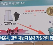 서울시, 고액 체납자 보유 가상화폐 압류