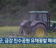 옥천군, 금강 친수공원 유채꽃밭 폐쇄
