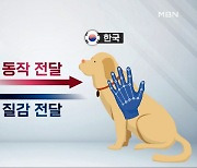 [김주하 AI 뉴스] 미국에서 한국에 있는 강아지 촉감 느낀다