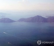 '가덕도 생태 우수' 누락한 채 공개한 부산환경보고서 논란