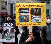 SPAIN PROTESTS ANIMALS