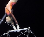 Switzerland European Artistic Gymnastics